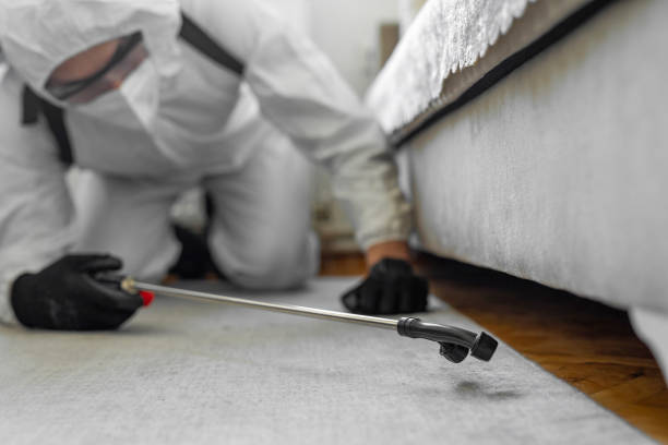 Professional Pest Control technician working in Fetters Hot Springs-Agua Caliente, CA