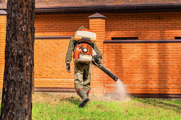 Trusted Fumigation Services service in Fetters Hot Springs-Agua Caliente, CA - Nex Pest Control